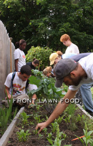 lawnfood